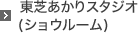 ���ł�����X�^�W�I�i�V���E���[���j