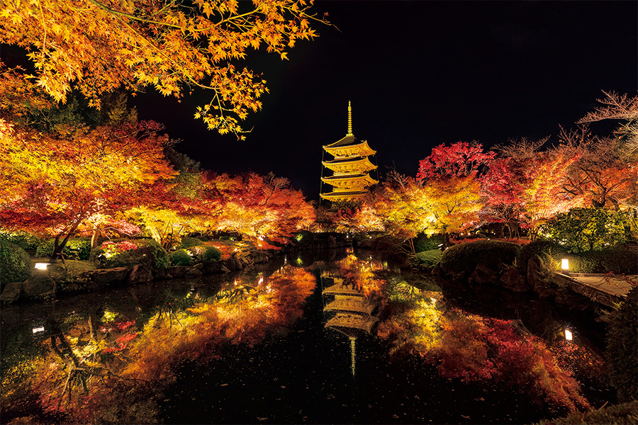 LED投光器でライトアップされる東寺境内の紅葉と五重塔の写真