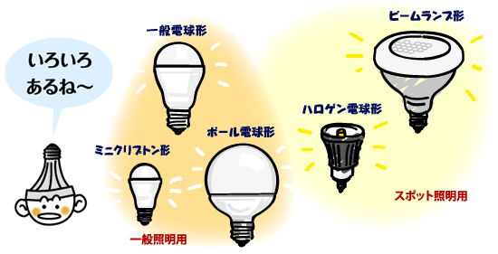 東芝LED電球の種類イラスト　一般電球形　ミニクリプトン形　ハロゲン電球形　ビームランプ形