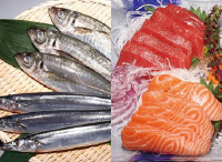 鮮魚の写真例