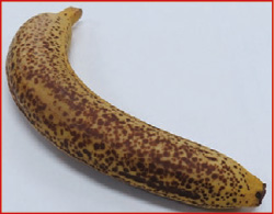 バナナの画像（光触媒なしの場合）