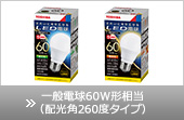 一般電球60W形相当（配光角260度タイプ）