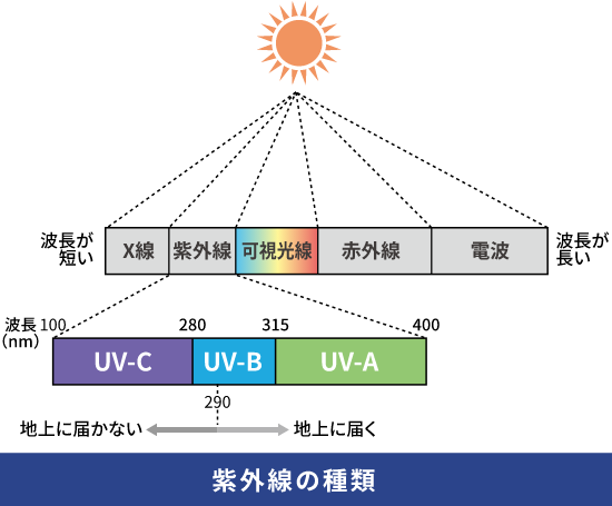 O̎ށFgZ X O  ԊO dg g | 100nm UV-C 280nm UV-B 315nm UV-A 400nm | nɓ͂Ȃ 290nm nɓ͂
