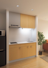 LED流し元灯(写真)