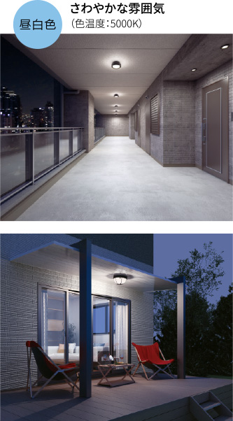 昼白色(色温度:5000K)施工イメージ(さわやかな雰囲気)