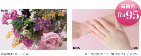 高演色Ra95(高演色の写真例)