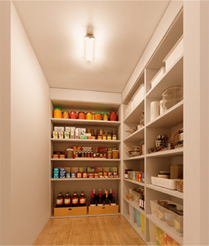 多目的灯の設置例の写真(ウォークインクローゼット)