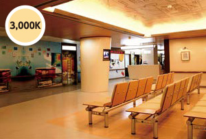 色温度3,000Kの例(写真)