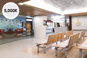 色温度5,000Kの例(写真)