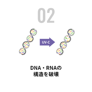 02 DNA・RNAの構造を破壊(UV-C)