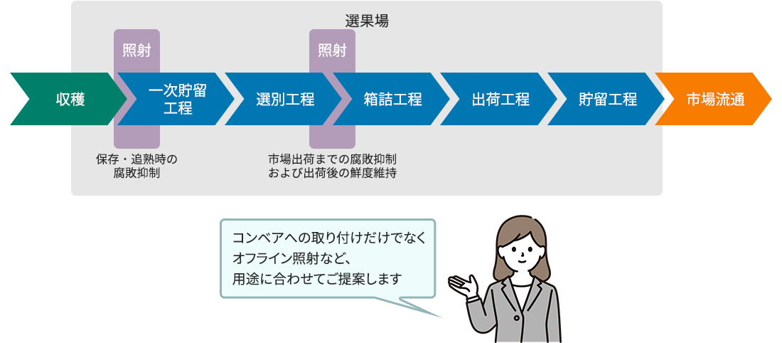 選果場における導入イメージの図解