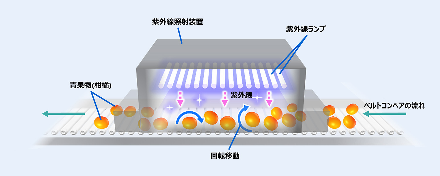 紫外線照射装置仕組みイメージ