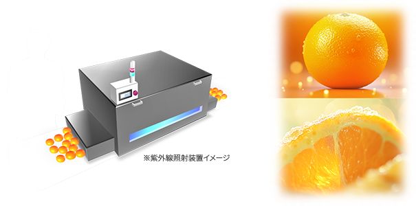 ULTRAAQUA(ウルトラアクア)の器具画像