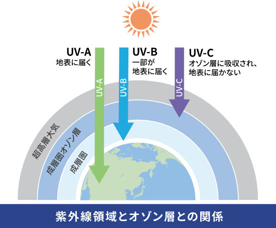 紫外線領域とオゾン層の関係:UV-A 地表に届く UV-B 一部が地表に届く UV-C オゾン層に吸収され地表に届かない 超高層大気 成層圏オゾン層 成層圏