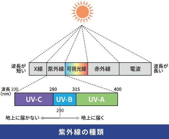 紫外線の種類:波長が短い X線 紫外線 可視光線 赤外線 電波 波長が長い | 100nm UV-C 280nm UV-B 315nm UV-A 400nm | 地上に届かない 290nm 地上に届く