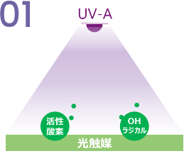 紫外線と光触媒が反応し、活性酸素とOHラジカルを生成する説明画像