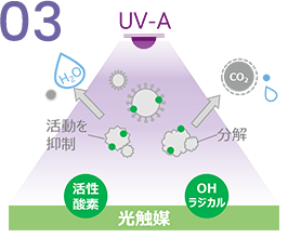 反応したニオイの元から二酸化炭素と水に分解し、ウイルス・菌は活動を抑制する説明画像