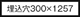 300×1257