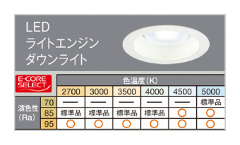 E-COREカタログ Vol.11 正誤表 | カタログ正誤のお知らせ | 東芝 