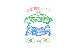 30by30 ���R�����T�C�g�F��i���S�摜�j