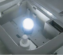 Lit-in-socket View