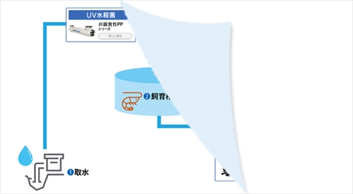 循環式養殖システム（RAS）への導入イメージ
