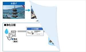 牡蠣養殖の牡蠣浄化プロセスでの導入イメージ