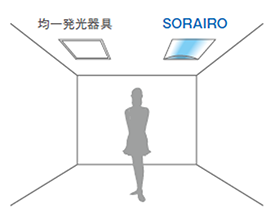 ψꔭSORAIRO̔riC[W摜j