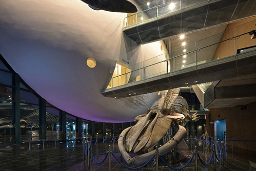 �[������̎ʐ^�i�ݒu�ꏊ�j