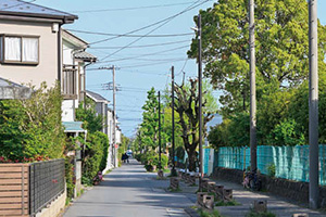 �[������̎ʐ^�i�O�ρj