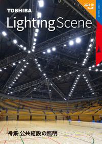 Lighting Scene No.29