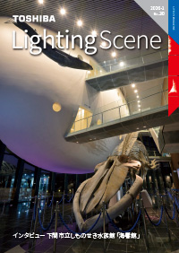 Lighting Scene No.30