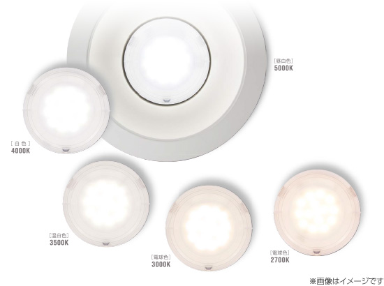 注目ショップ・ブランドのギフト 高効率 深形 白色 東芝 LEKD2533013L-LD9 LEDユニット交換形ダウンライト 広角 φ100