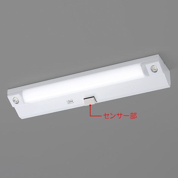 LED非常用照明器具 階段灯 天井壁直付兼用形 | 東芝ライテック(株)