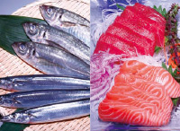 鮮魚の写真例