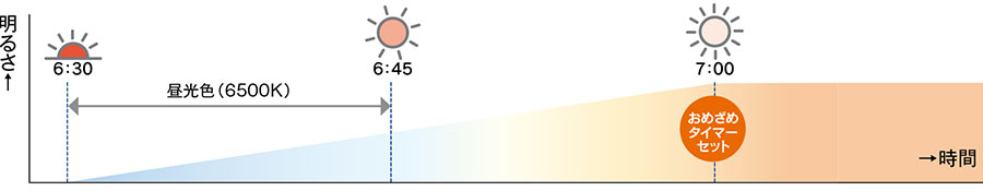 ߂߃^C}[}