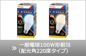 ʓd100W`izp220x^Cvj