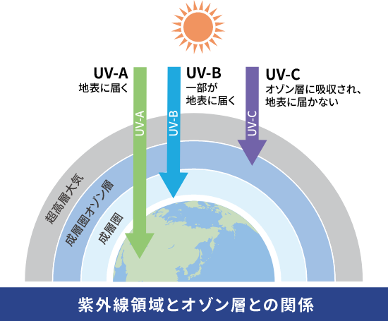 紫外線領域とオゾン層の関係：UV-A 地表に届く UV-B 一部が地表に届く UV-C オゾン層に吸収され地表に届かない 超高層大気 成層圏オゾン層 成層圏